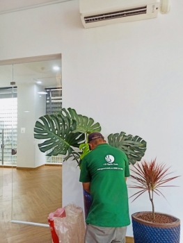 Cho Thuê Cây Xanh Văn Phòng Là Gì? Giải Pháp Xanh Toàn Diện Cho Doanh Nghiệp 2026