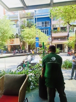 Cho Thuê Cây Xanh Quán Kem Haagen-Dazs Đường Pasteur, Phường Sài Gòn, TP.HCM