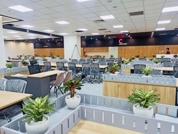 Cho Thuê Cây Xanh Quận 7 – Tạo Không Gian Văn Phòng Hiện Đại