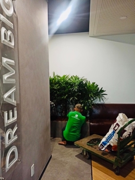 Thuê Cây Xanh Tại Bình Chánh 2026 – Không Gian Xanh Giá Hợp Lý