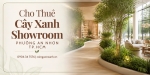 Cho Thuê Cây Xanh Showroom Ở Phường An Nhơn TP.HCM