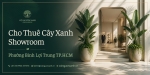 Cho Thuê Cây Xanh Showroom Ở Phường Bình Lợi Trung TP.HCM
