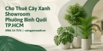 Cho Thuê Cây Xanh Showroom Ở Phường Bình Quới TP.HCM – Đẹp, Chuyên Nghiệp