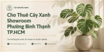 Cho Thuê Cây Xanh Showroom Ở Phường Bình Thạnh TP.HCM