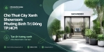 Cho Thuê Cây Xanh Showroom Ở Phường Bình Trị Đông TP.HCM