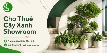 Cho thuê cây xanh showroom ở Phường Cầu Kiệu TP.HCM – Không gian trưng bày xanh, sang trọng