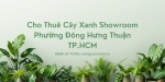 Cho Thuê Cây Xanh Showroom Ở Phường Đông Hưng Thuận TP.HCM