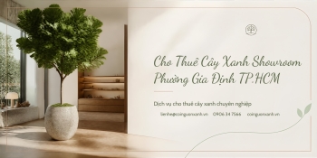Cho thuê cây xanh showroom ở Phường Gia Định TP.HCM – Không gian đẹp, chuyên nghiệp