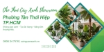 Cho thuê cây xanh showroom tại Phường Tân Thới Hiệp TP.HCM