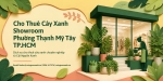 Cho Thuê Cây Xanh Showroom Ở Phường Thạnh Mỹ Tây TP.HCM