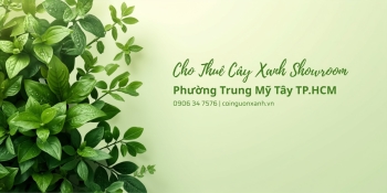 Cho thuê cây xanh showroom tại Phường Trung Mỹ Tây TP.HCM – Không gian xanh, sang trọng, thu hút khách hàng