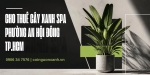 Cho Thuê Cây Xanh Spa Ở Phường An Hội Đông TP.HCM – Không Gian Thư Giãn, Sang Trọng