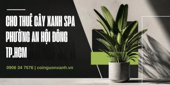 Cho Thuê Cây Xanh Spa Ở Phường An Hội Đông TP.HCM – Không Gian Thư Giãn, Sang Trọng