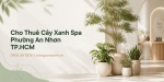 Cho Thuê Cây Xanh Spa Ở Phường An Nhơn TP.HCM – Đẹp, Sang, Chuyên Nghiệp