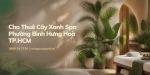 Cho thuê cây xanh spa ở Phường Bình Hưng Hòa TP.HCM – Không gian thư giãn xanh