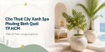 Cho Thuê Cây Xanh Spa Ở Phường Bình Quới TP.HCM