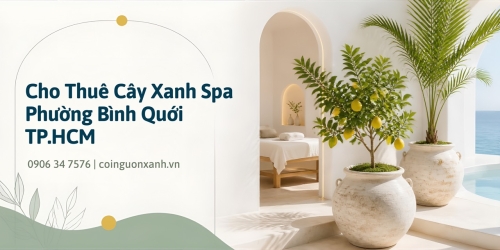 Cho Thuê Cây Xanh Spa Ở Phường Bình Quới TP.HCM