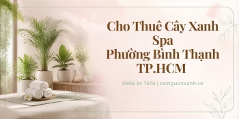 Cho Thuê Cây Xanh Spa Ở Phường Bình Thạnh TP.HCM