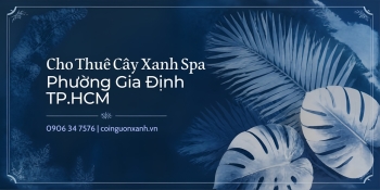 Cho Thuê Cây Xanh Spa Ở Phường Gia Định TP.HCM