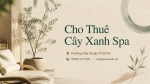 Cho Thuê Cây Xanh Spa Ở Phường Phú Nhuận TP.HCM – Không Gian Thư Giãn, Sang Trọng