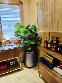 Cách Tối Ưu Chi Phí Khi Thuê Cây Xanh 2026 Cho Công Ty