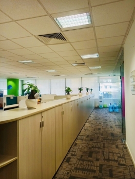 Cho Thuê Cây Xanh Văn Phòng Cho Capgemini Vietnam Tại TP.HCM