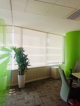 Cho Thuê Cây Xanh Văn Phòng Cho Capgemini Vietnam Tại TP.HCM