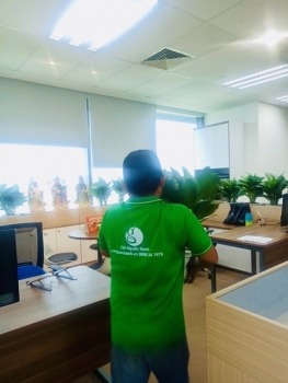 Case Study: Thiết Kế & Cho Thuê Cây Xanh Cho Văn Phòng Startup 50 Nhân Sự