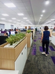 Cội Nguồn Xanh cung cấp dịch vụ cho thuê cây xanh văn phòng tại Công ty FedEx Express Phường Tân Sơn Nhất TP.HCM