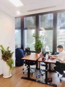 Cho Thuê Cây Xanh Văn Phòng Công Ty GIZ, Phường Bến Nghé, TP.HCM