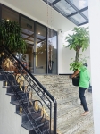 Cho thuê cây xanh văn phòng Công ty Phụng Sự Vẻ Đẹp Việt tại Phường An Khánh TP.HCM