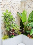 Cho thuê cây xanh văn phòng Công ty Phụng Sự Vẻ Đẹp Việt tại Phường An Khánh TP.HCM