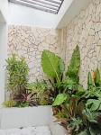 Cho thuê cây xanh văn phòng Công ty Phụng Sự Vẻ Đẹp Việt tại Phường An Khánh TP.HCM