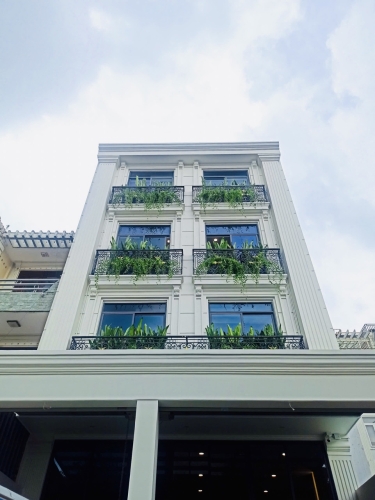 Cho thuê cây xanh văn phòng Công ty Phụng Sự Vẻ Đẹp Việt tại Phường An Khánh TP.HCM