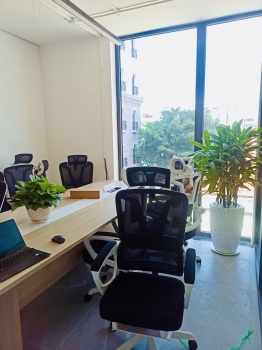 Cội Nguồn Xanh cung cấp dịch vụ cho thuê cây xanh văn phòng Công ty Seven Way tại Phường An Khánh TP.HCM