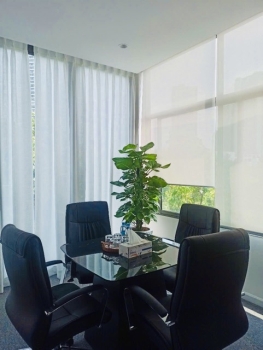 Cung Cấp Dịch Vụ Cho Thuê Cây Xanh Văn Phòng Công Ty Thủ Đức House