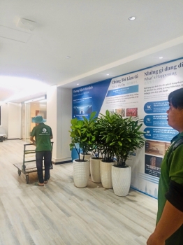 Cho thuê cây xanh văn phòng Công ty Ying Ying tại Phường Khánh Hội TP.HCM