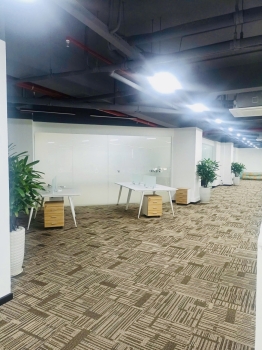 Cho thuê cây xanh văn phòng Công ty Ying Ying tại Phường Khánh Hội TP.HCM
