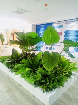 Cho thuê cây xanh văn phòng Công ty Ying Ying tại Phường Khánh Hội TP.HCM