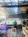 Cho thuê cây xanh văn phòng Công ty Ying Ying tại Phường Khánh Hội TP.HCM