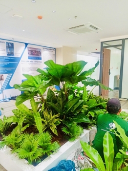 Cho thuê cây xanh văn phòng Công ty Ying Ying tại Phường Khánh Hội TP.HCM