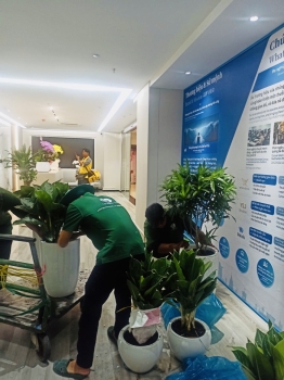 Cho thuê cây xanh văn phòng Công ty Ying Ying tại Phường Khánh Hội TP.HCM