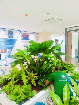 Cho thuê cây xanh văn phòng Công ty Ying Ying tại Phường Khánh Hội TP.HCM
