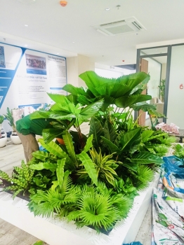 Cho thuê cây xanh văn phòng Công ty Ying Ying tại Phường Khánh Hội TP.HCM