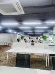 Cho thuê cây xanh văn phòng Công ty Ying Ying tại Phường Khánh Hội TP.HCM
