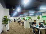 Cho thuê cây xanh văn phòng Công ty Ying Ying tại Phường Khánh Hội TP.HCM