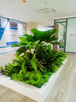 Cho thuê cây xanh văn phòng Công ty Ying Ying tại Phường Khánh Hội TP.HCM