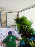 Cho thuê cây xanh văn phòng Công ty Ying Ying tại Phường Khánh Hội TP.HCM