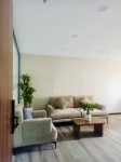 Cho thuê cây xanh văn phòng Công ty Ying Ying tại Phường Khánh Hội TP.HCM