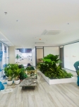 Cho thuê cây xanh văn phòng Công ty Ying Ying tại Phường Khánh Hội TP.HCM